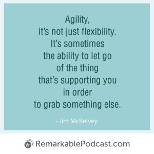 Quote Image: Agility, it’s not just flexibility. It’s sometimes the ability to let go of the thing that’s supporting you in order to grab something else. Said by Jim McKelvey